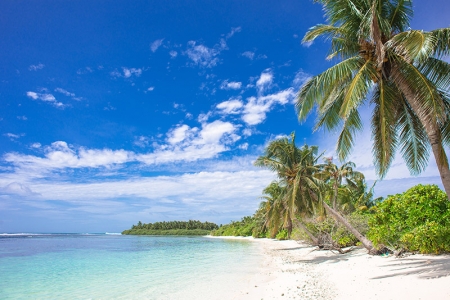 Онлайн–викторина «Мимо острова Буяна»