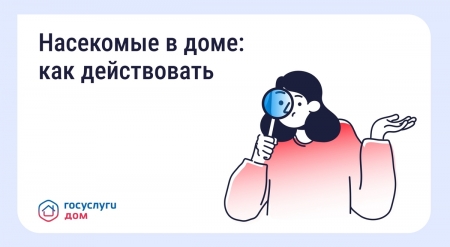 ���������.���. ������ � ���������� � ��������������� ����